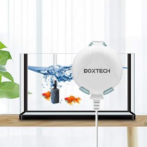 boxtech Sauerstoffpumpe Mini Leise Aquarium Oxygen Luftpumpe mit Air Stone und Silikonschlauch