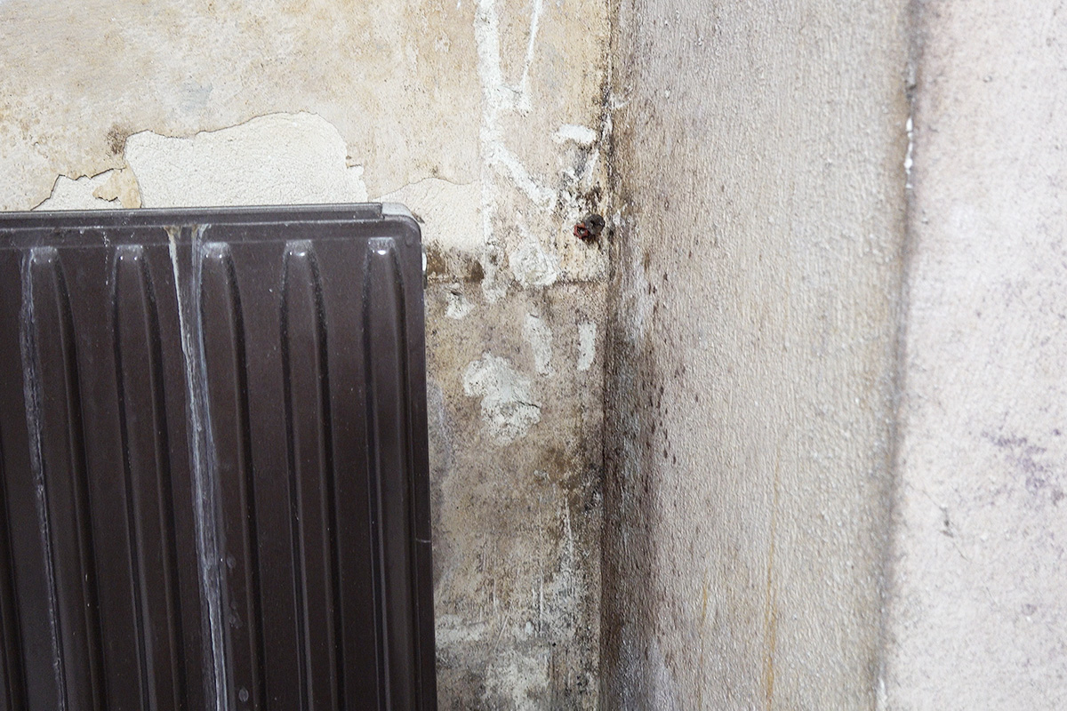 Feuchte Wände sanieren - Ratgeber @ diybook.de