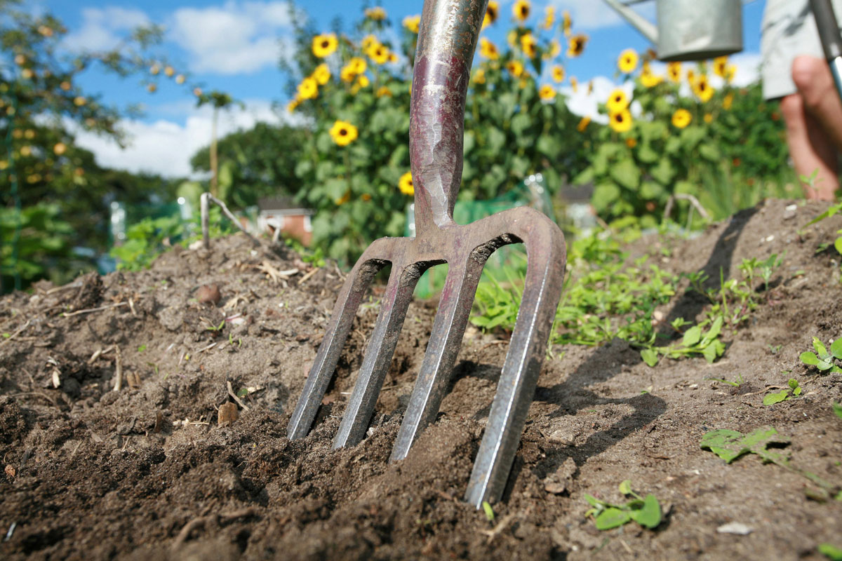 Urbanes Gärtnern – Das Neue Miteinander - Garten @ Diybook.de