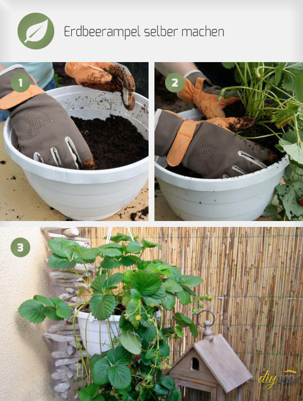 Erdbeerampel selber machen - Anleitung @ diybook.de