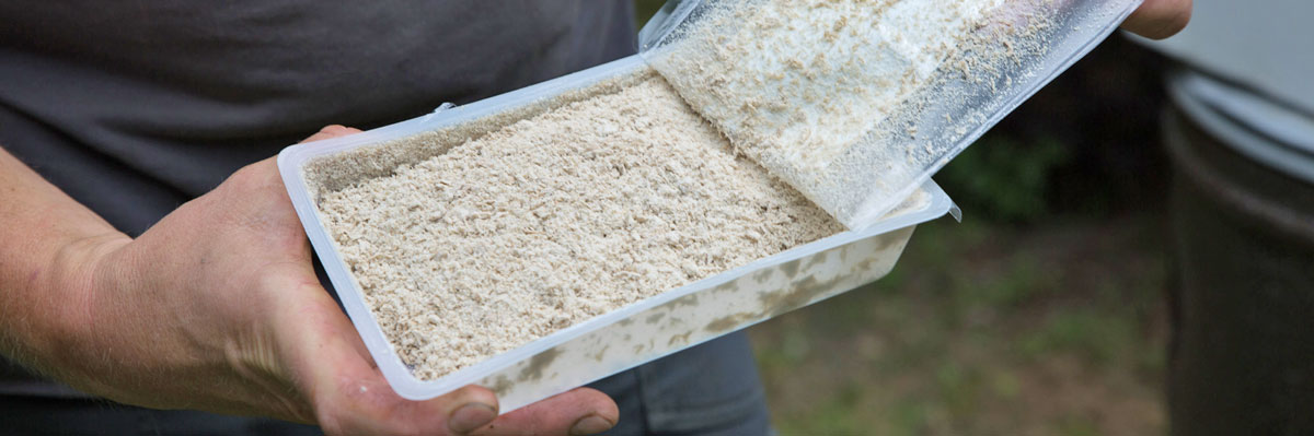 Nematoden Schnecken Bekämpfen Mit Hilfe Der Natur Garten Diybookde