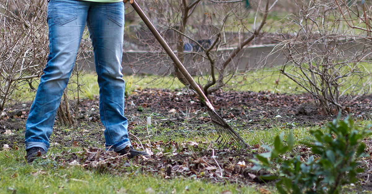 Der Garten im März Das Frühjahr beginnt Garten diybook.de