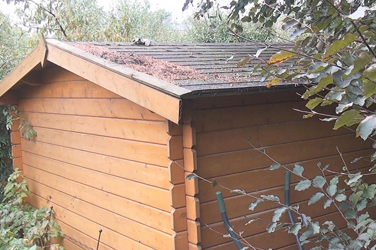 Gartenhaus Streichen Warten Anleitung Diybook De