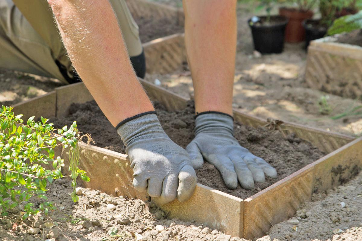 Baumstumpf Im Garten Verschönern / Baumstumpf Verschonern