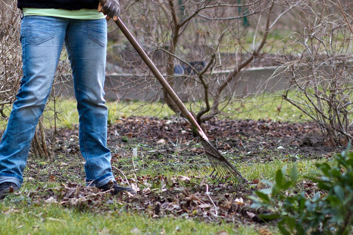 Der Garten Im Marz Das Fruhjahr Beginnt Garten Diybook De