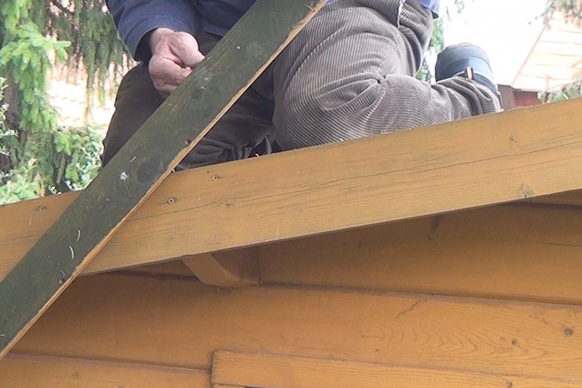 Gartenhaus Streichen Warten Anleitung Diybook De