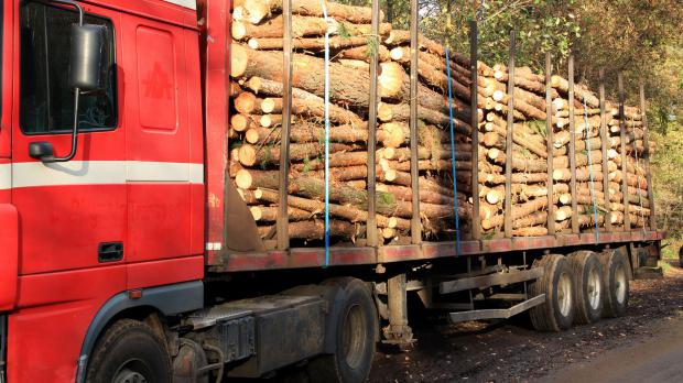 Kurze Transportwege bei der Holzlieferung