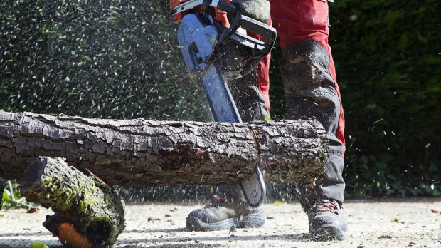 Schutzausrüstung für Baumfäller