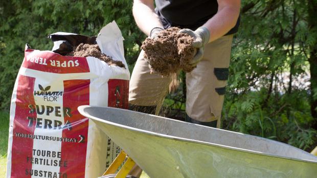 Humus selber machen auch ohne Kompost Garten diybook.de
