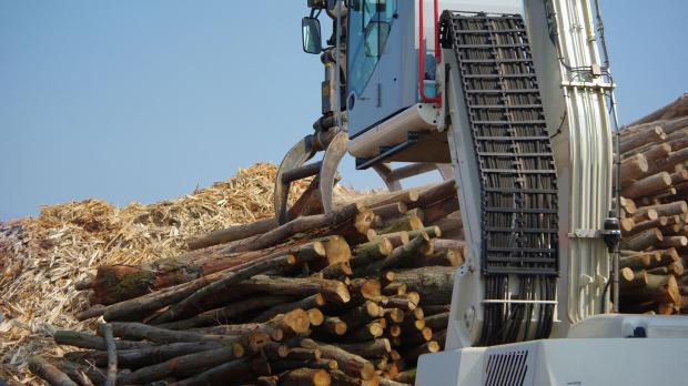 Holzverarbeitung in der Pelletsproduktion