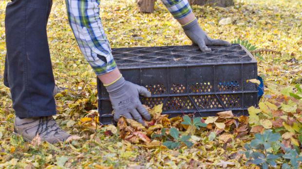 Winterschutz für Pflanzen Garten diybook.de