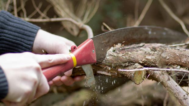 Der Garten im Februar Tipps & Tricks vom Gärtner diybook.de