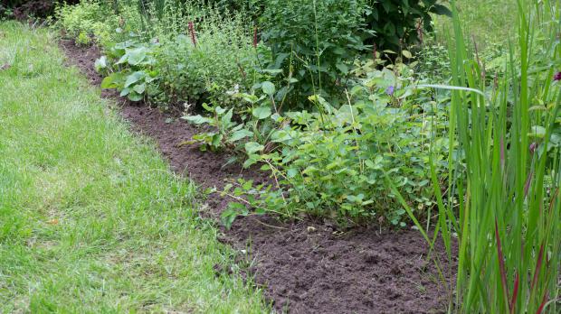 Perfekte Rasenkanten schneiden - Garten @ diybook.de