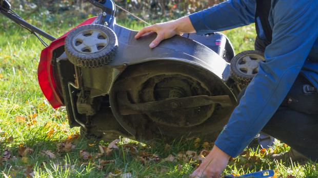 Richtige Rasenpflege: So behält der Rasen seine Pracht - Ratgeber