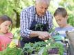 Erwachsener erklärt Kindern die Gartenarbeit