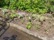 Beet nach dem Anlegen