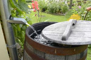 Regenwassernutzung: Regenwasser sammeln und einsetzen