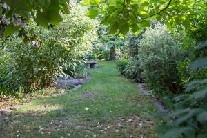 Der Schattengarten – Buntes Leben im Zwielicht