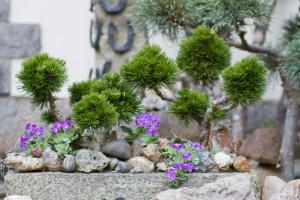 Steingarten gestalten – Tipps für das eigene Steinbeet