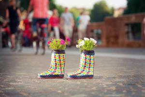 Urban Gardening: Echte DIY-Tipps für einen erfolgreichen Start!