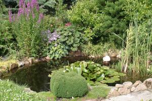 Tierfreundlicher Garten: Tipps und Tricks zum selber machen