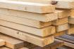 Baustoff Holz: Das Beste, was der Wald zu bieten hat