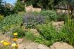 Der Kräutergarten – Aromatherapie im heimischen Grün