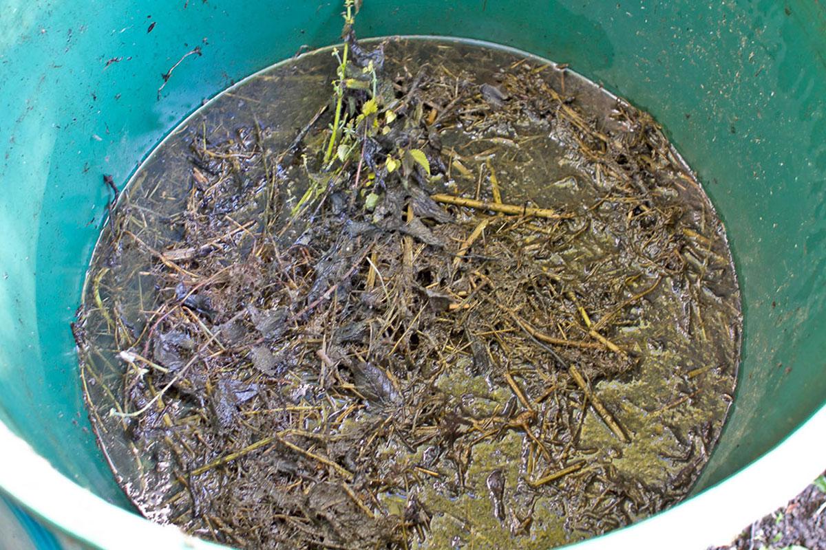 thuja bäume düngen Thuja Dünger - Mineralischer NPK Flüssigdünger mit Stickstoff main image 0