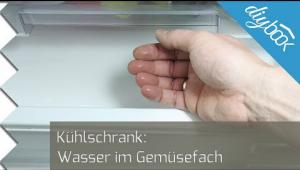 Embedded thumbnail for Wasser im Kühlschrank – Die Lösung!